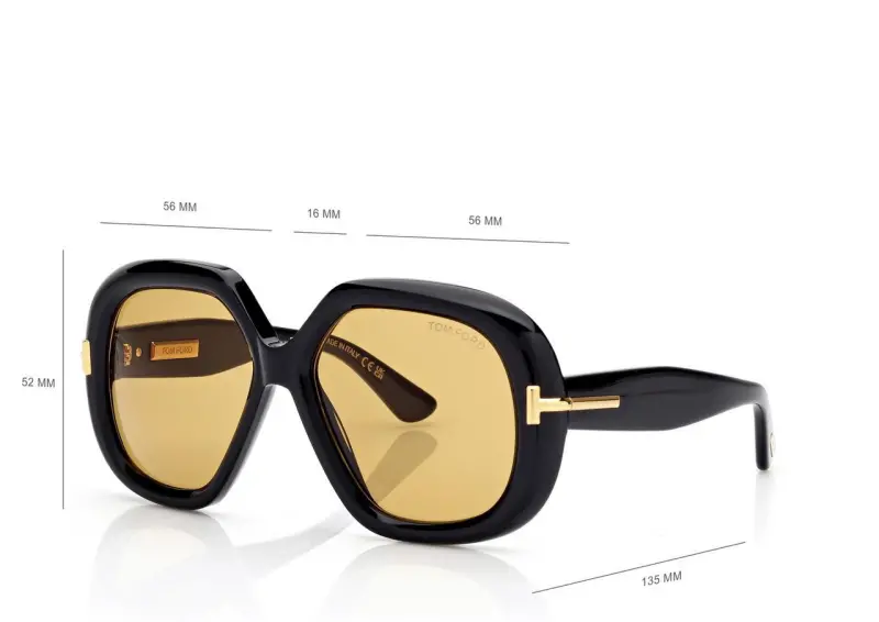 GEOMETRIC ICON SUNGLASSES SHINY BLACK / BROWN online